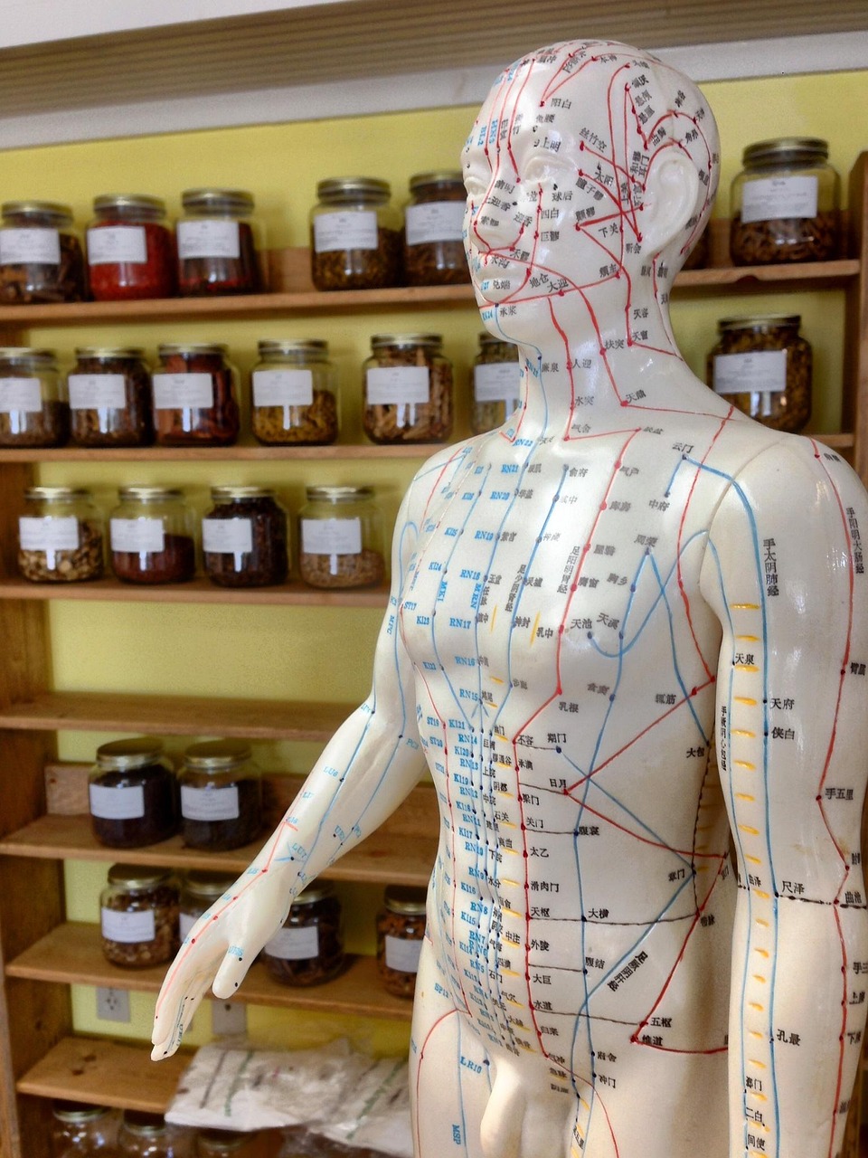 acupuncture, herbs, alternative, homeopathy, chinese, wellness, treatment, brown wellness, acupuncture, acupuncture, acupuncture, acupuncture, acupuncture